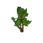 Beech Sapling – Hytale block